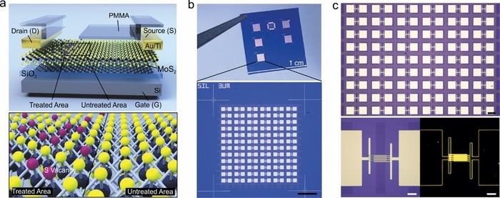 Scalable transition metal dichalcogenide memtransistor arrays for energy-efficient artificial neural networks