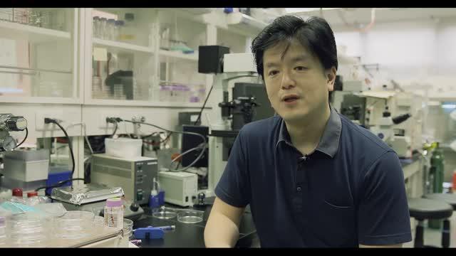 Shoji Takeuchi, Institute of Industrial Science, the University of Tokyo