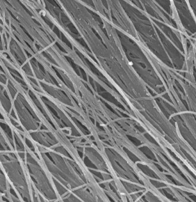 A Welcome Mat for Cells