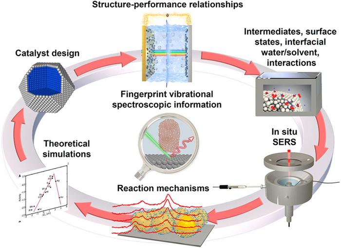 Integrated EC-SERS Framework for Decoding Electrocatalytic Mechanisms.