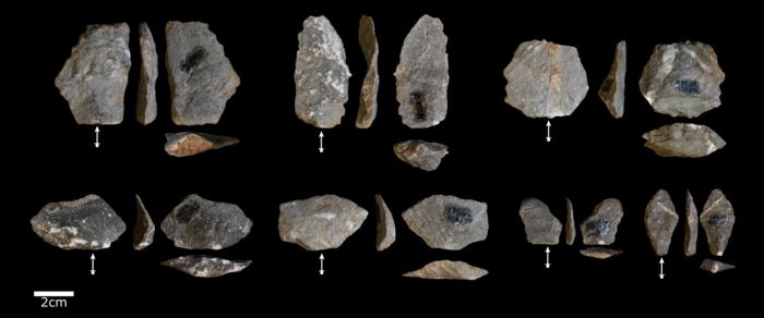 Sharp edged stone flakes