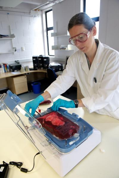 Laurie Shedden, University of Strathclyde 