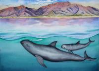 Rarest Marine Mammal