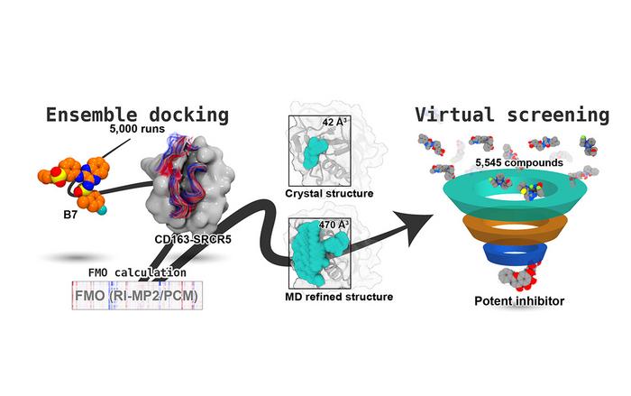 Mechanistic Insights into PRRSV Inhibition through CD163–SRCR5 Blockade by PRRSV/CD163-IN-1