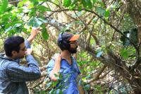 Researchers Unveil New Acoustic Network on Okinawa