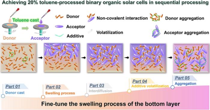 Achieving 20% Toluene‑Processed Binary Organic Solar Cells via Secondary Regulation of Donor Aggregation in Sequential Processing