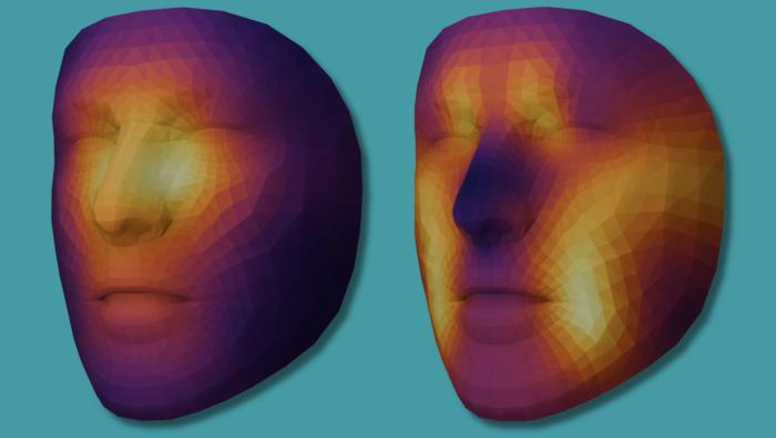 How AI Models Analyze Facial Features to Estimate Biological Age and Cancer Survival Outcomes