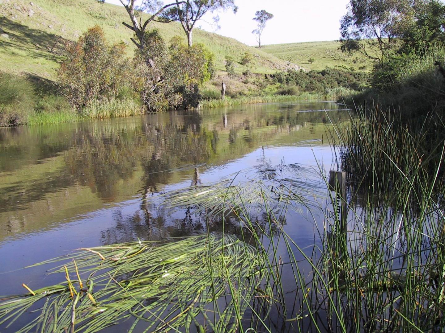 Saving Salt Polluted Freshwater Ecosystems (1 of 5)