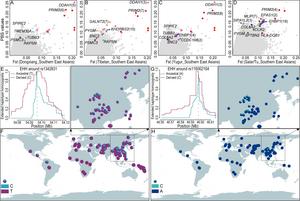 The impact of human adaptative history on human disease susceptibility and phenotype diversity