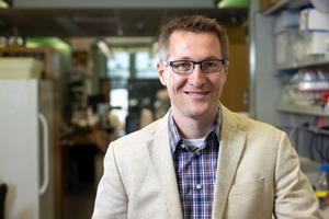 Matthew Potthoff, Ph.D.