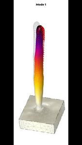 saguaro modes of resonance