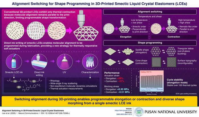 3D-printed liquid crystal elastomer with programmable shape change
