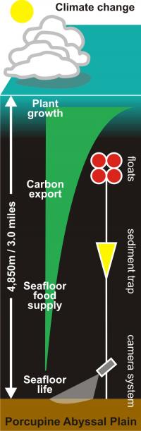 Climate and the Deep Sea