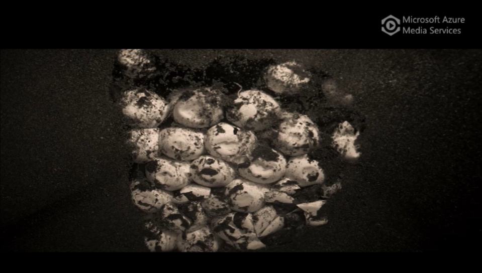 TurtleSense can detect synchronized bursts of sea turtle movement during hatching followed by periods of cessation