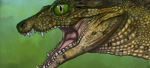 Thikarisuchus xenodentes
