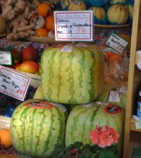 Watermelon Cubes