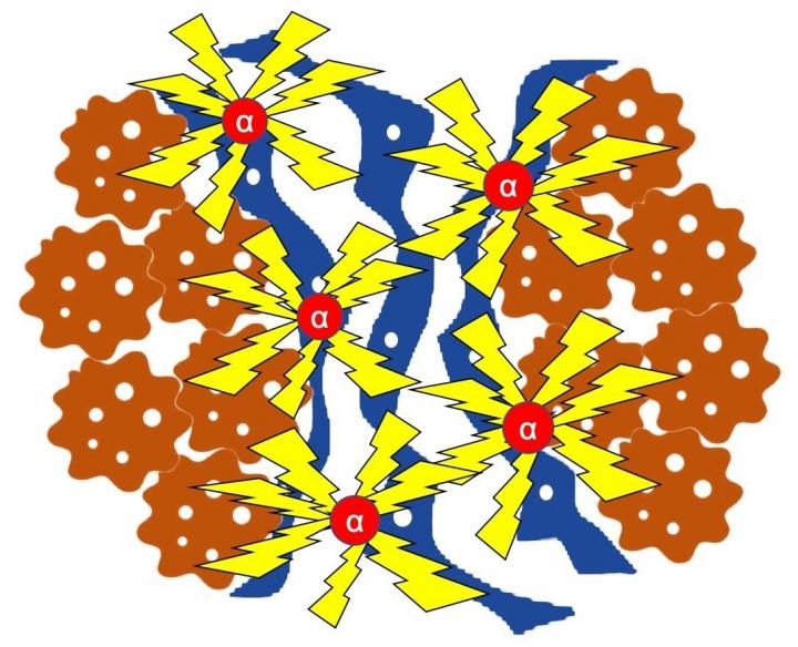 Schematic Depiction