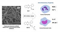 Mechanism of the Developed Materials