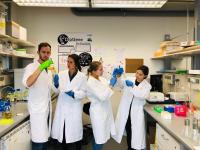 DipGene Lab