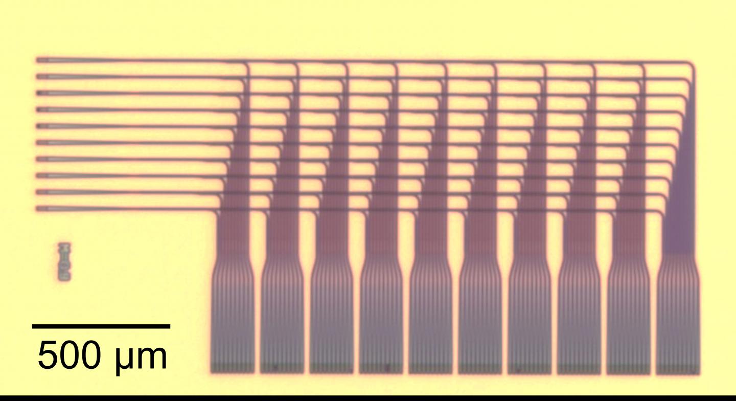 NIST Neural Net Chip