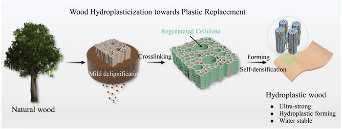 Water-Processed Wood Combines High Strength, Shapeability and Water Resistance for Plastic Replacement