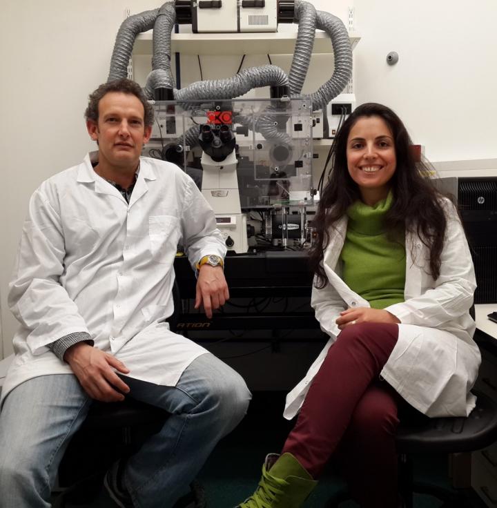 Ron Dzikowski and Inbar Amit-Avraham, Hebrew University of Jerusalem