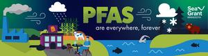 PFAS are everywhere, forever