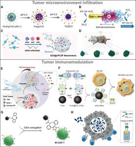 Fig. 3. Design of agents for tumor microenvironment infiltration and immunomodulation.