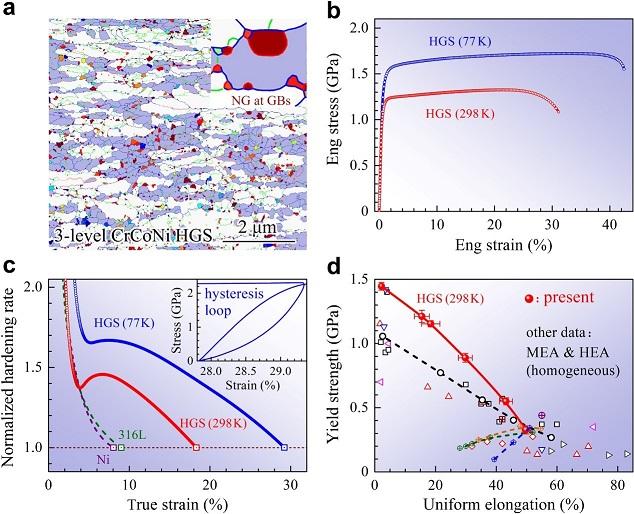 New Strategy for Extending Ductility in a Single-phase Alloy