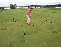 Turfgrass Damage