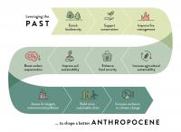 Leveraging the Past