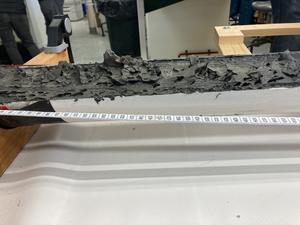 Sediment core sample