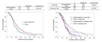 Kaplan-Meier Analysis