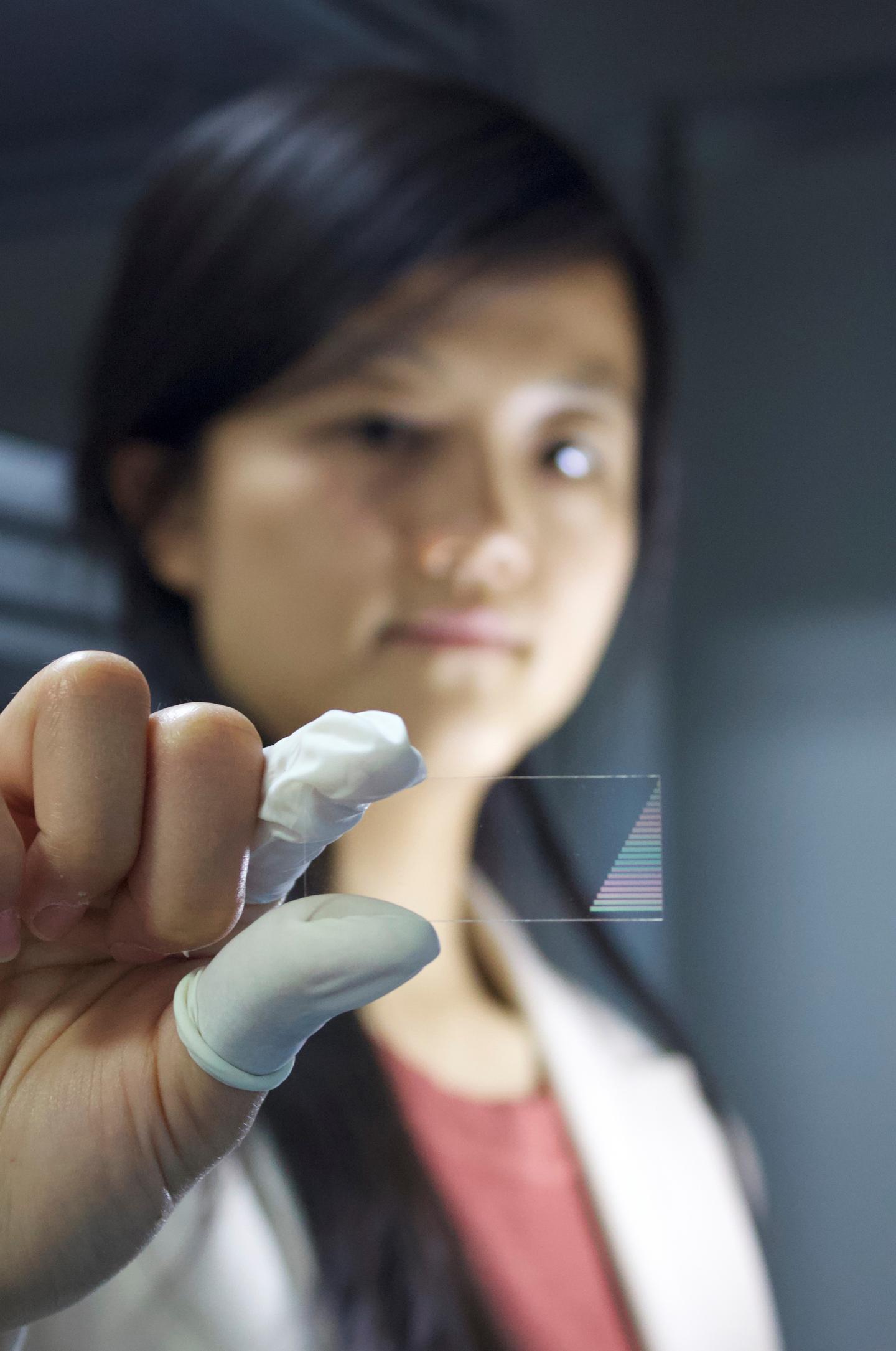 Experimental two-dimensional quantum walk on a photonic chip (1 of 3)