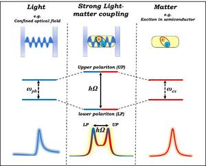 Schematic representation of strong coupling