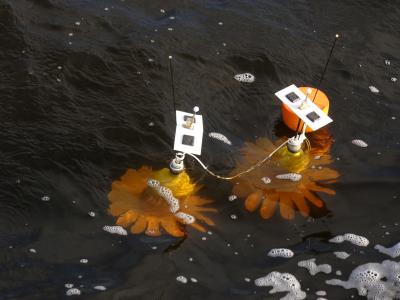 Estuarine Sensors