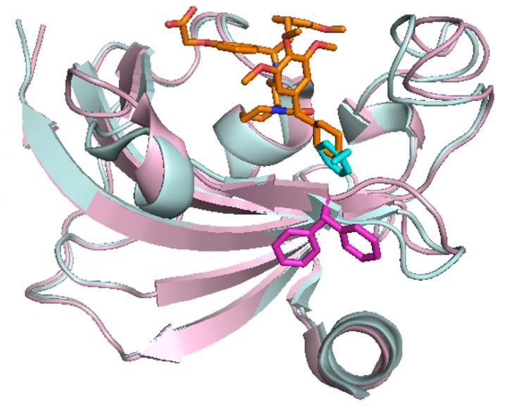 Depression, Obesity, Chronic Pain Could Be Treated by Targeting the Same Key Protein