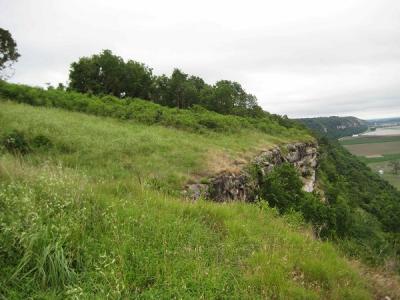 Prairie Hill Remnant