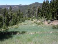 Graded Ski Run Abandoned