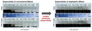 [Figure 2] Comparison of solvent-specific dispersion properties of conventional and amphiphilic MXene materials