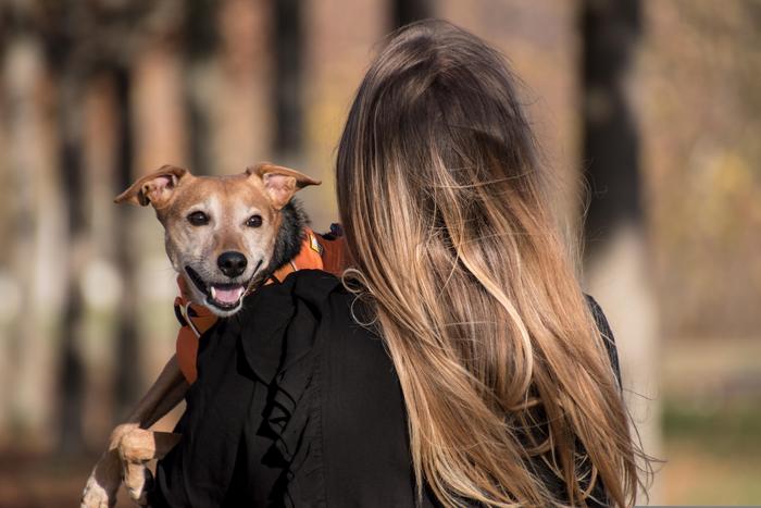 Factors of pet ownership associated with human health: A representative cross-sectional survey of Switzerland