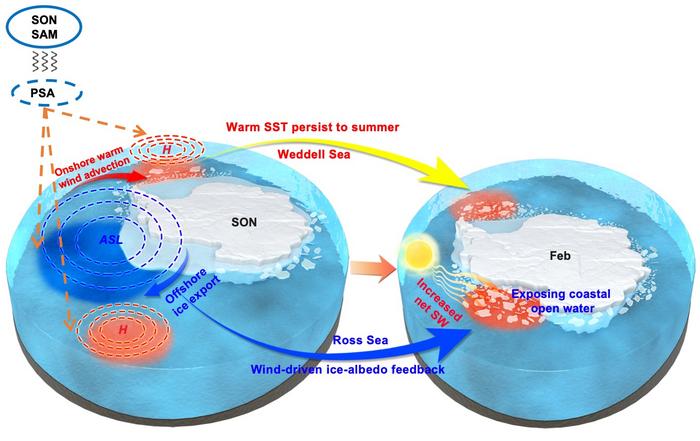 Pathways from Positive spring SAM to Antarctic summer sea-ice loss