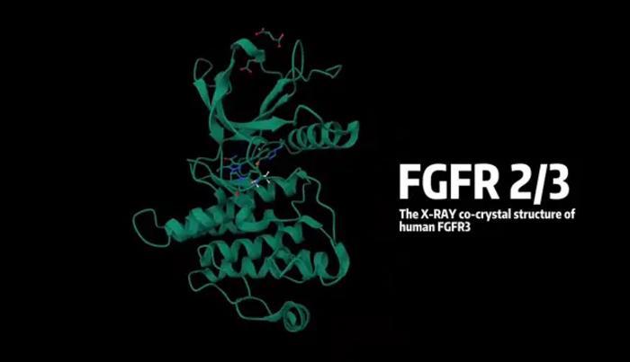 JMC | Insilico Medicine Publishes AI-Driven Innovative Design Strategy for Highly Selective FGFR2/3 Inhibitors