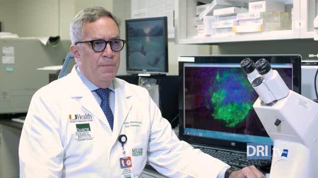 Can Omega-3 and Vitamin D Halt Diabetes Progression?