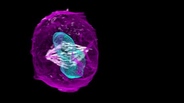 3-D Cell Viewer -- Structure Boundaries