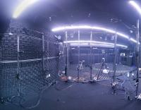 Bat Lab