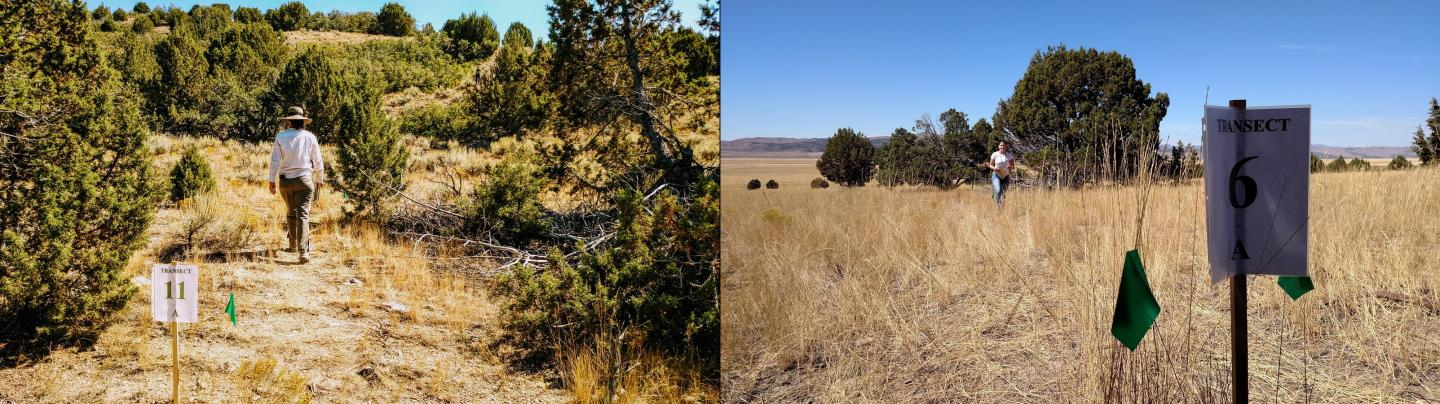 Landscape Conditions and Travel Time