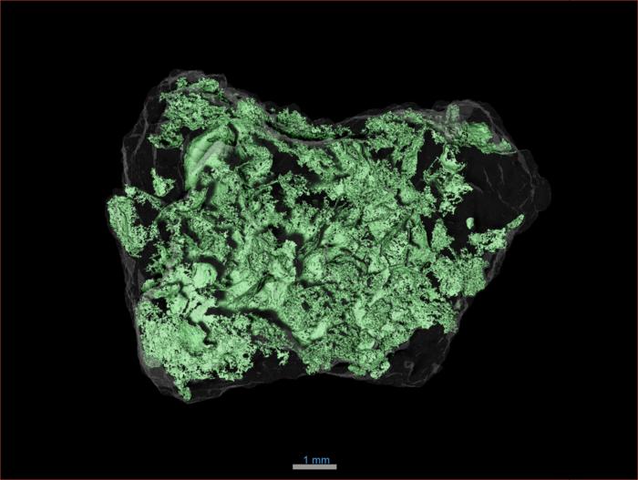 Bennu sample particle with X-ray analysis