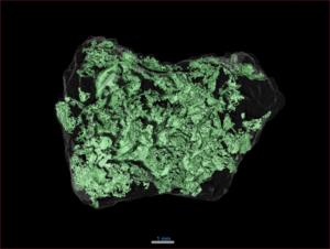 Bennu sample particle with X-ray analysis
