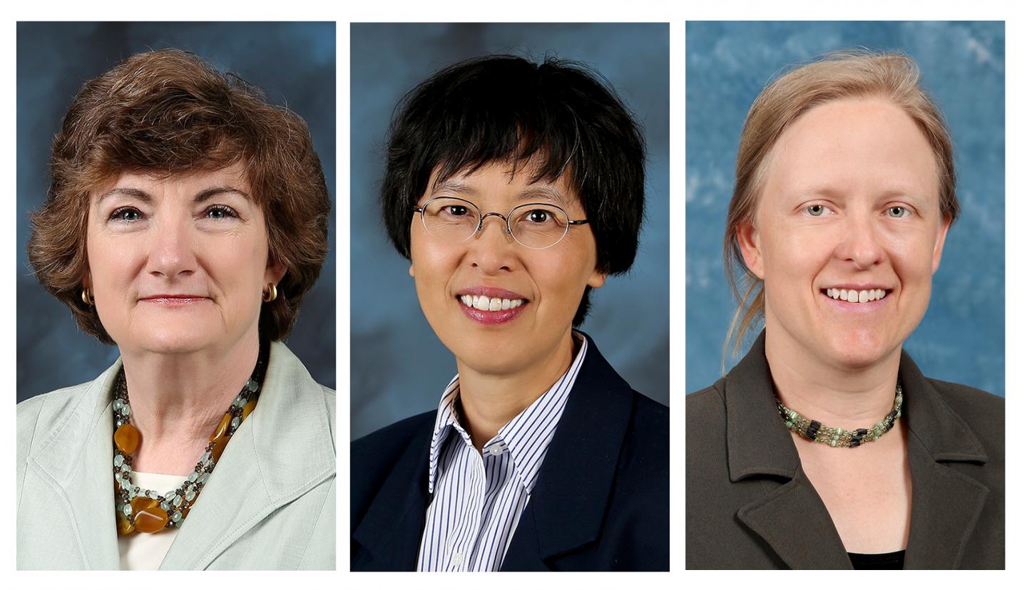 New AAAS Fellows